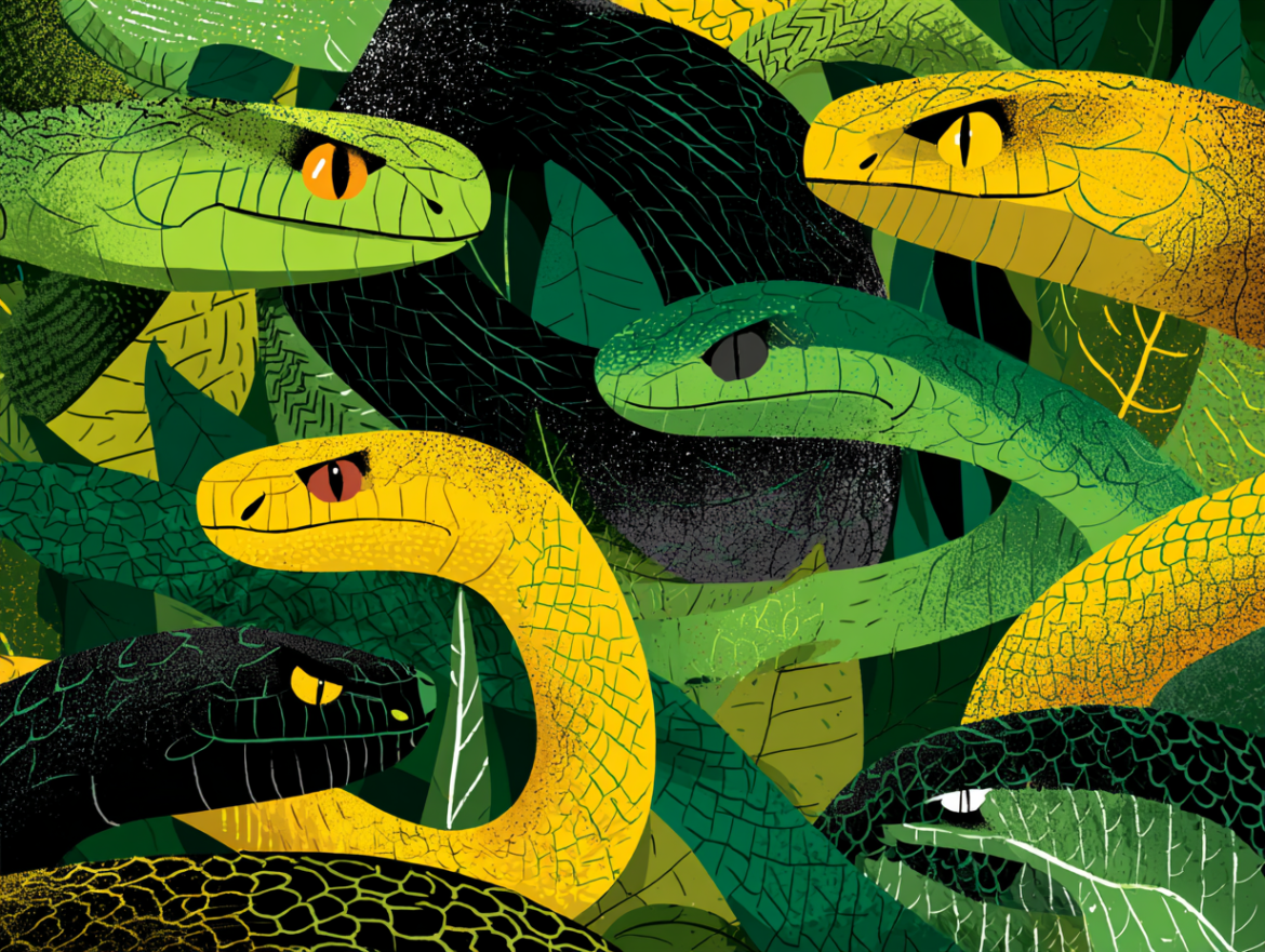 Un collage de serpientes de diferentes colores: verde, negra, amarilla, blanca y roja, para ilustrar el significado del color al soñar con serpientes.